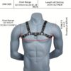 Men’s Adjustable Bondage Harness – Chest, Shoulder & Waist Restraint for Sensual Play - Image 6